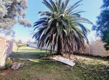 Terreno · 600m² · Lote de 10 X 60 Listo Para Edificar