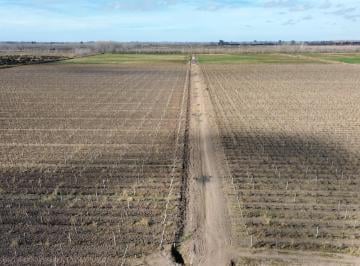 Terreno , Lavalle · Finca en Venta - Lavalle