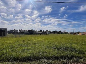 Terreno · 655m² · Barrio Don Guido 140 y 508 - Lote 20x32 m J. Hernández