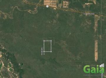Campo · 6036000m² · Campo en Venta, Estación Capitán Page