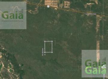 Campo · 6036000ha · Campo en Venta, Estación Capitán Page
