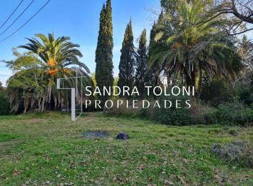 Terreno · 100m² · Venta de Hectárea Urbana en Alejandro Korn