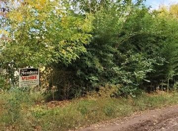 Terreno de 1 ambiente, Moreno · Fraccion con Galpon