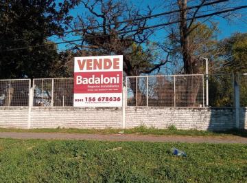 Bodega-Galpón · 800m² · Galpón en Zona Industrial