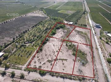 Terreno · 5000m² · Terreno 5000 m Servicios en La Puerta Cruz de Piedra Maipu