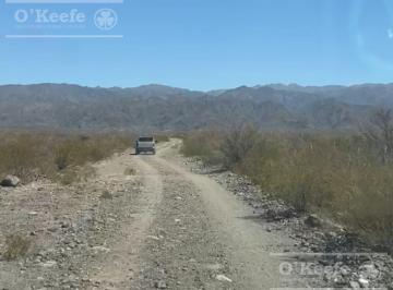 Campo · 143850000ha · Campo en Venta de 14385 Has con Aptitud Minera (Oro) en San Juan