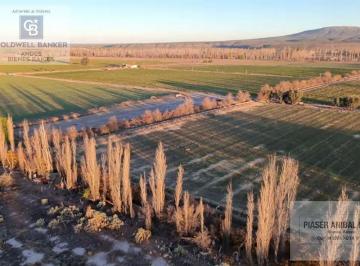Terreno · 15000m² · Terreno en Rama Caida