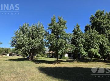 Campo · 710000m² · Campo Agrícola con Mejoras en Torres
