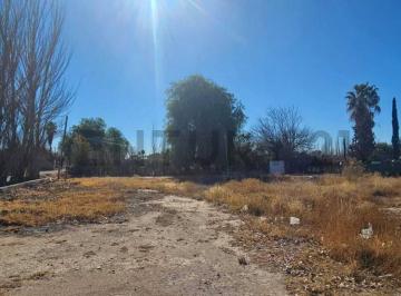 Terreno · 1550m² · Oportunidad Lote en Venta en San Martin Mendoza