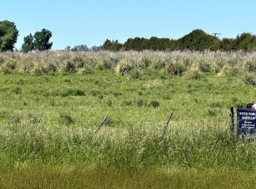 Quinta vacacional · 42500m² · 3 Ambientes · Quinta Chacra en Venta Uribelarrea 4 Ha