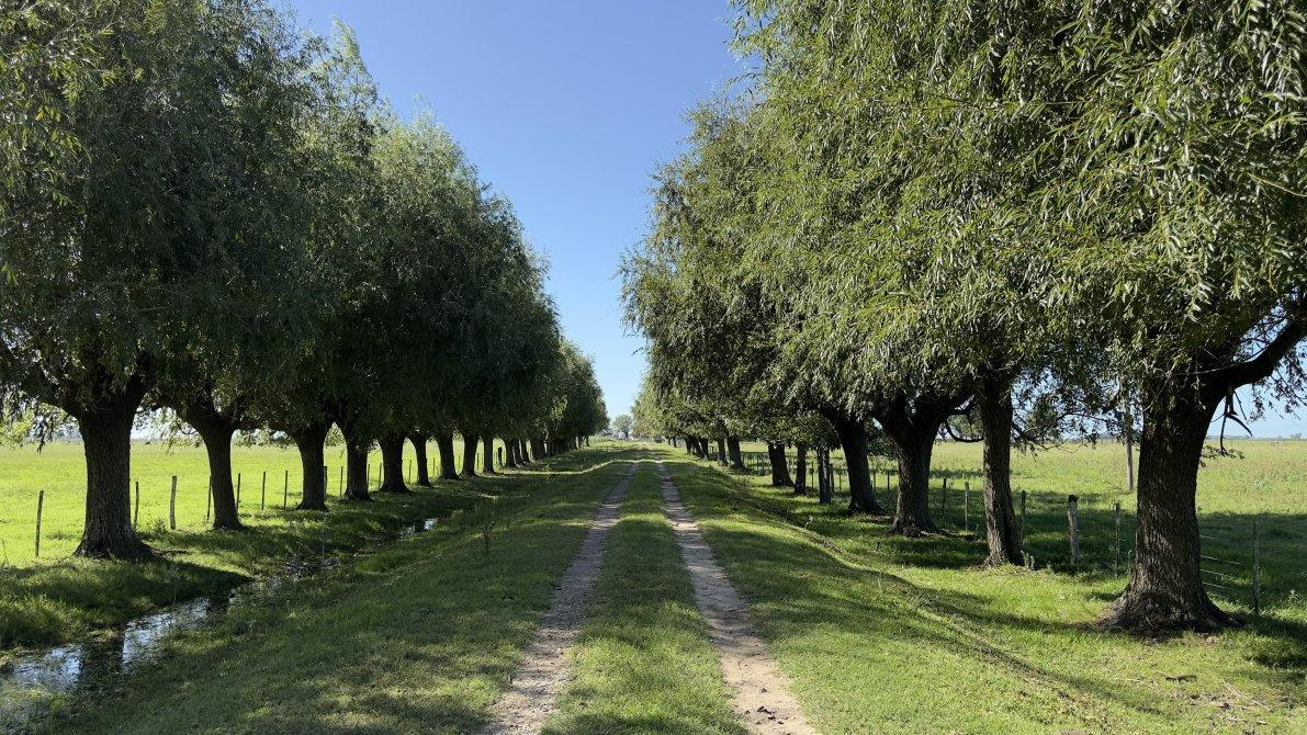 ranchos, rp, Ranchos, Buenos Aires (fuera de GBA)
