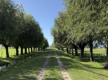 Campo , Ranchos · Campo de 227 Ha Inmejorable Acceso Sobre Rp 29, Ranchos, Gral Paz, Buenos Aires