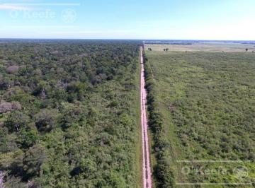 Campo · 460000000m² · Campo en Venta 46.000 Has Agrícola Ganadero y Forestal. Gran Unidad de Campo Para Desarrollar!