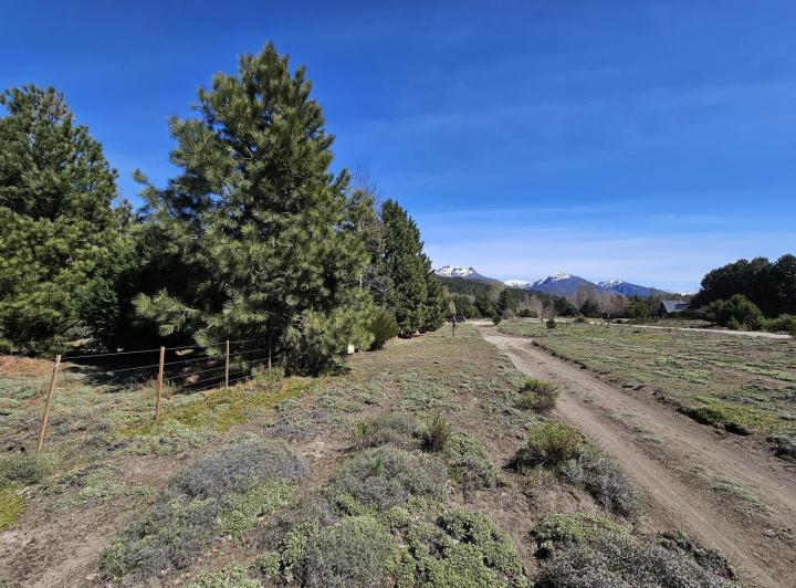 Terreno · 1004m²