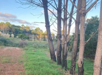Terreno · 2271m² · 1 Ambiente · Venta 4 Terrenos La Esmeralda