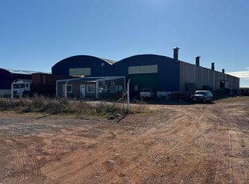 Bodega-Galpón · 3312m² · 1 Cochera · Nave Logística 3.500 m² – Ruta 21 Km 269 – Arroyo Seco