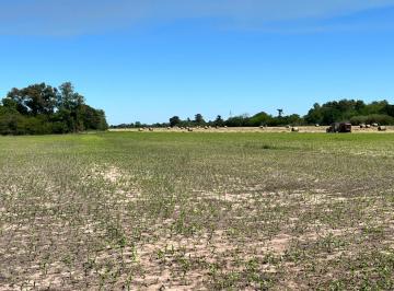 Campo · 719500m² · Campo en Pueblo Candioti