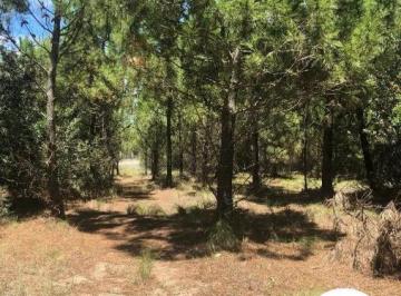 Terreno , Costa Esmeralda · Golf II Lote 548 | Costa Esmeralda | en Venta