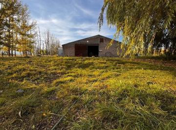 Bodega-Galpón · 400m² · Galpón en Ruta 89, La Carrera, Tupungato