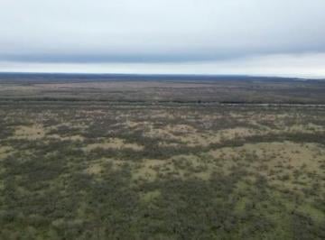 Campo · 304268m² · Fracción Isla Sobre Río Uruguay. Sup. de 913.715 m². Oportunidad de Inversión