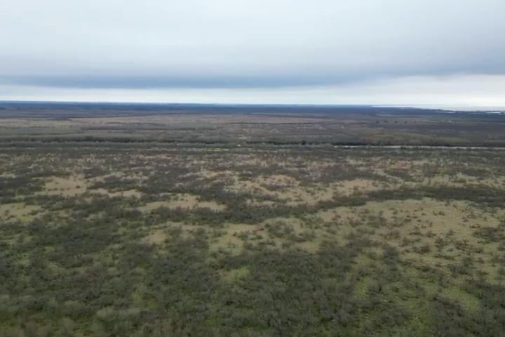 Campo · 304268m²