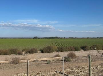 Campo , Tupungato · Venta de Finca en Tupungato - 93 Ha