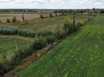 Campo , San Carlos · Finca en Venta / Alto Capiz 8ha