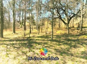 Terreno · 8m² · Venta Terreno 1.390 m² con Contenedor y Arboleda Centenaria – Villa Samaritana, Casa Grande – Córdoba
