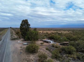 Campo , Jocolí · Puesto en Venta 50 Hectáreas Jocolí