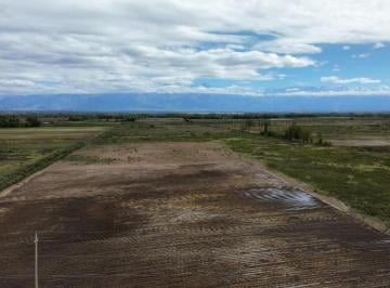 Campo , San Carlos · Finca en Venta / Capiz 31ha