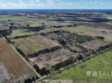 Campo · 2440000m² · 244 Ha Campo Arbolado a m de Autovía 6