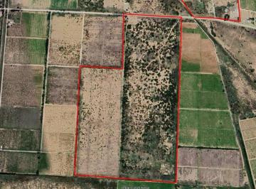 Campo , Jocolí · Finca en Venta en Jocolí 44ha