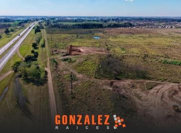 Campo · 250000ha · 2 Ambientes · 5 Cocheras · Campo en Cañuelas - 25 Ha