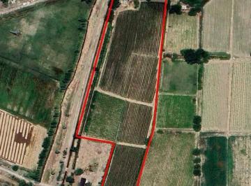 Campo de 5 ambientes, Tres de Mayo · Finca de 3,2 Ha con Viñedos y Casa Patronal