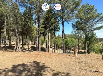 Terreno · 964m² · Terreno en Los Molinos