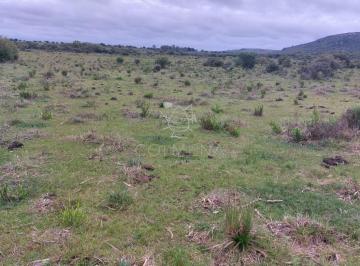 Foto1 · Campo en Paraje Grutas de Salamanca