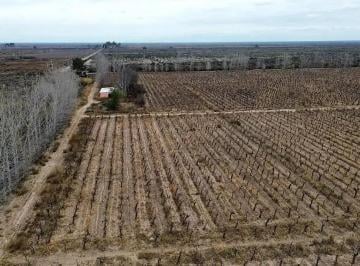 Campo de 6 ambientes, Otro · Finca de 100ha en Venta – con 2 Perforacion y Pozo - Gustavo André, Lavalle