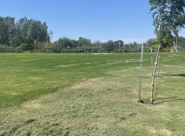 Terreno · 537m² · Terreno en Venta Santa Ana - Villanueva