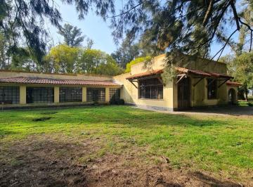 Campo · 400000m² · 6 Ambientes · Campo de 40ha en Carlos Keen con Hermosa Arboleda