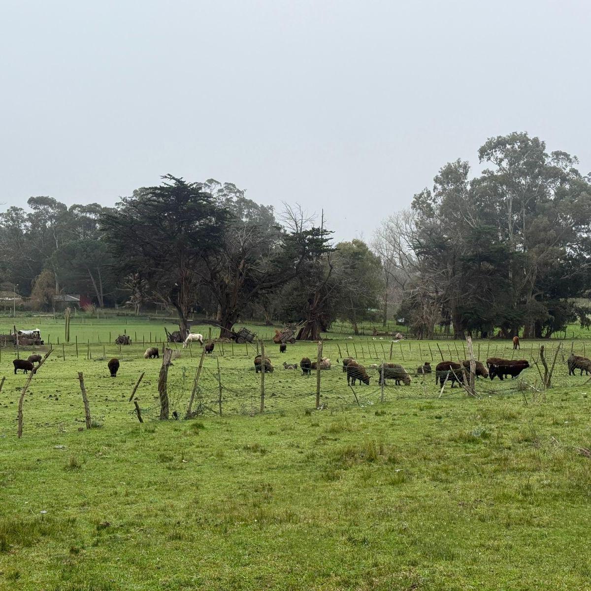 Terreno en Venta – 4000 m² en Los Acantilados
