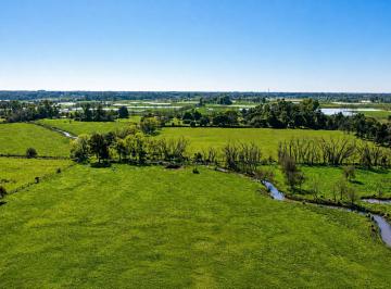 Campo · 150ha · Zona Polo - Campo de 28 Has Rodeadas de Las Mejores Organizaciones