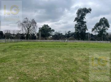 Terreno · 714m² · Lote en Venta Greenville Polo