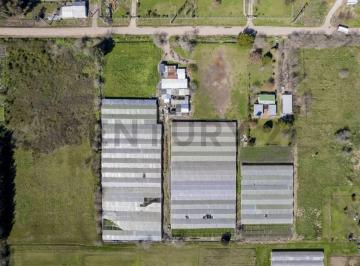 Campo · 150m² · Fraccion de Tierra en Venta en Abasto La Plata