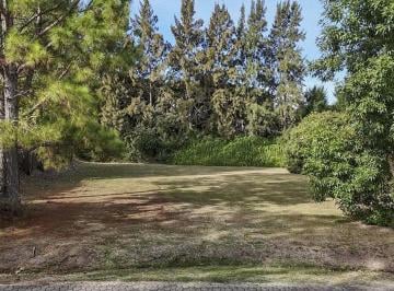 Terreno · 1031m² · Venta de Lote en Barrio Privadado La Codorniz