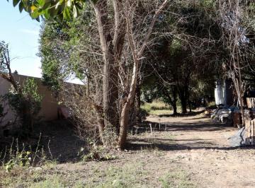 Terreno , Colonia Caroya · Venta de Lote en Zona Residencial, Gran Oportunidad!