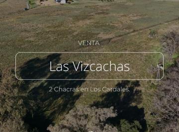 Campo · 65550m² · 2 Chacras en Venta, Barrio Cerrado Las Vizcachas, Los Cardales