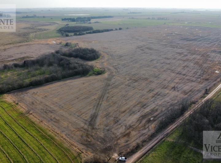 Campo · 780000m²