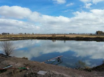 Campo , Jocolí Viejo · Finca de 180ha con Espalderos y Parte Para Chacra