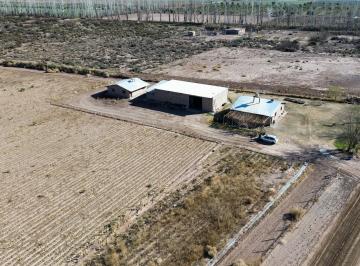 Campo , Lavalle · Finca Ideal Para Chacra 75ha, Colonia Italia, Lavalle.