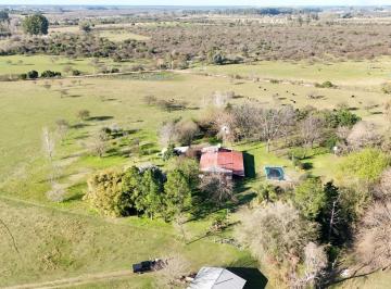 Campo · 500m² · 6 Ambientes · 4 Cocheras · 24 Has en Zona Ejido Colón Entre Ríos